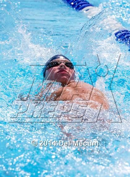 Thumbnail 1 in Hillsborough Western Conference Meet photogallery.