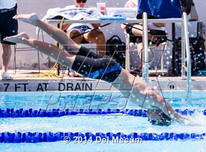Thumbnail 1 in Hillsborough Western Conference Meet photogallery.