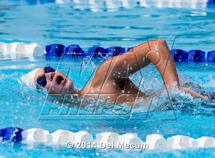 Thumbnail 2 in Hillsborough Western Conference Meet photogallery.
