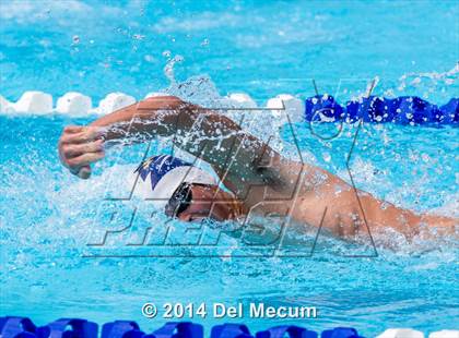 Thumbnail 1 in Hillsborough Western Conference Meet photogallery.