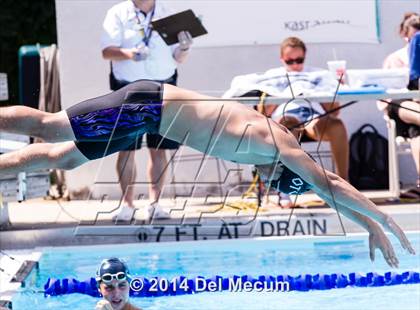 Thumbnail 1 in Hillsborough Western Conference Meet photogallery.