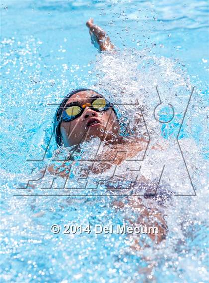 Thumbnail 3 in Hillsborough Western Conference Meet photogallery.