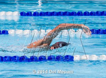 Thumbnail 1 in Hillsborough Western Conference Meet photogallery.