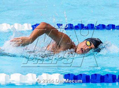 Thumbnail 3 in Hillsborough Western Conference Meet photogallery.