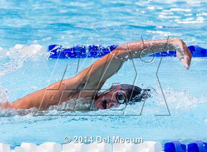 Thumbnail 3 in Hillsborough Western Conference Meet photogallery.