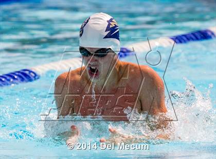 Thumbnail 2 in Hillsborough Western Conference Meet photogallery.