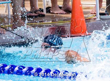 Thumbnail 2 in Hillsborough Western Conference Meet photogallery.