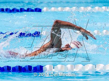 Thumbnail 2 in Hillsborough Western Conference Meet photogallery.