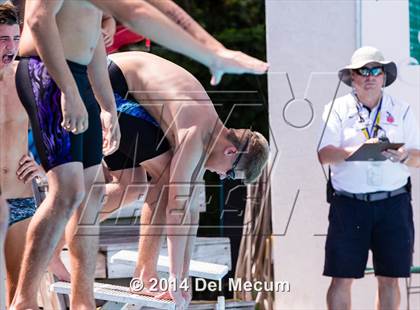 Thumbnail 1 in Hillsborough Western Conference Meet photogallery.