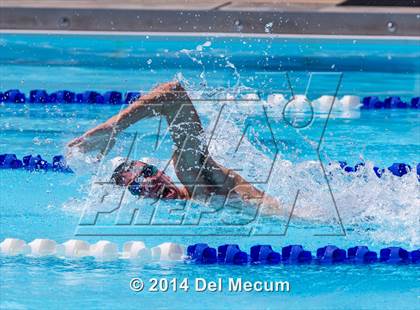 Thumbnail 3 in Hillsborough Western Conference Meet photogallery.