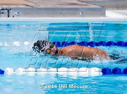 Thumbnail 3 in Hillsborough Western Conference Meet photogallery.