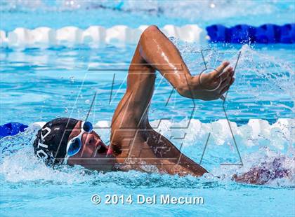 Thumbnail 1 in Hillsborough Western Conference Meet photogallery.