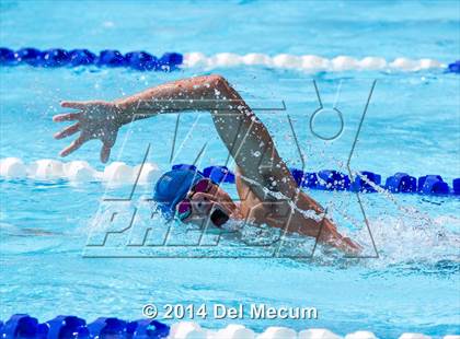 Thumbnail 2 in Hillsborough Western Conference Meet photogallery.