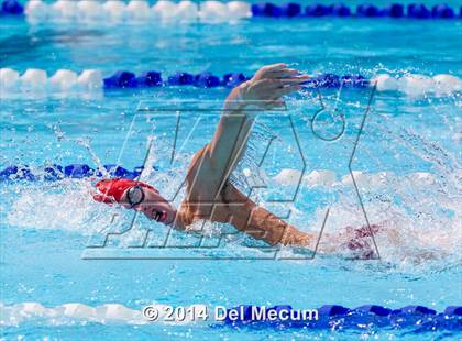 Thumbnail 3 in Hillsborough Western Conference Meet photogallery.