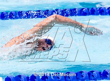 Thumbnail 1 in Hillsborough Western Conference Meet photogallery.