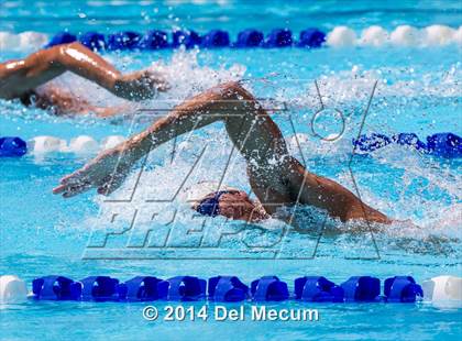 Thumbnail 1 in Hillsborough Western Conference Meet photogallery.