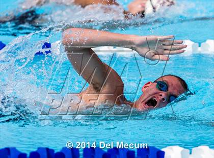 Thumbnail 3 in Hillsborough Western Conference Meet photogallery.