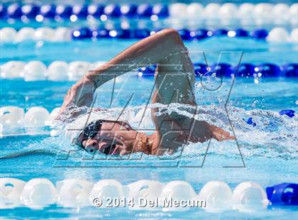 Thumbnail 1 in Hillsborough Western Conference Meet photogallery.