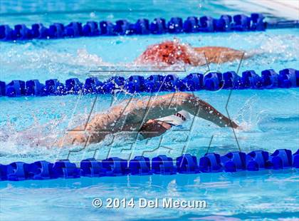 Thumbnail 3 in Hillsborough Western Conference Meet photogallery.