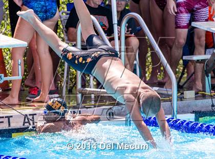Thumbnail 1 in Hillsborough Western Conference Meet photogallery.
