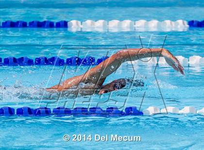 Thumbnail 2 in Hillsborough Western Conference Meet photogallery.