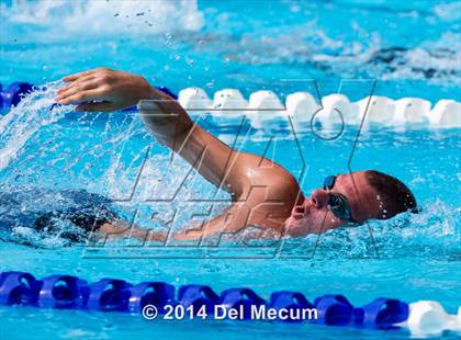 Thumbnail 3 in Hillsborough Western Conference Meet photogallery.