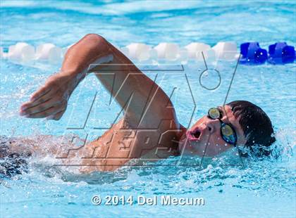 Thumbnail 3 in Hillsborough Western Conference Meet photogallery.