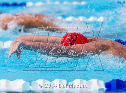 Thumbnail 3 in Hillsborough Western Conference Meet photogallery.