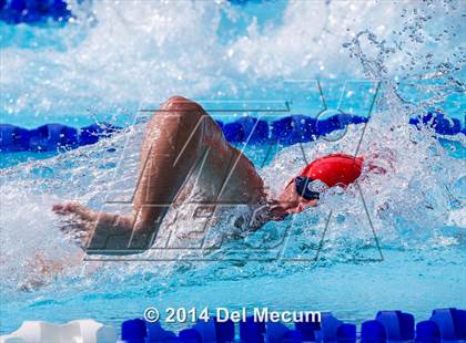 Thumbnail 1 in Hillsborough Western Conference Meet photogallery.