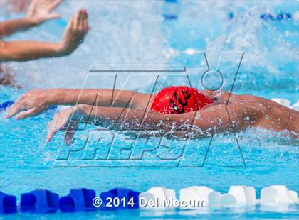 Thumbnail 1 in Hillsborough Western Conference Meet photogallery.