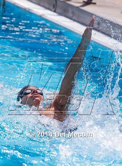 Thumbnail 1 in Hillsborough Western Conference Meet photogallery.
