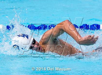 Thumbnail 1 in Hillsborough Western Conference Meet photogallery.