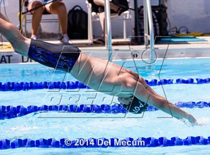 Thumbnail 3 in Hillsborough Western Conference Meet photogallery.