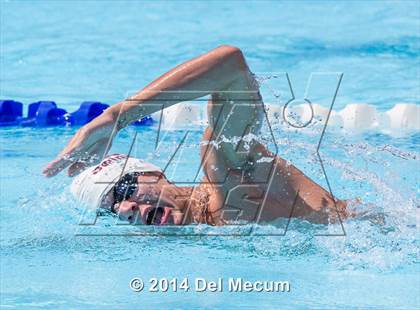 Thumbnail 1 in Hillsborough Western Conference Meet photogallery.