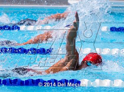 Thumbnail 2 in Hillsborough Western Conference Meet photogallery.