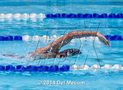 Thumbnail 3 in Hillsborough Western Conference Meet photogallery.