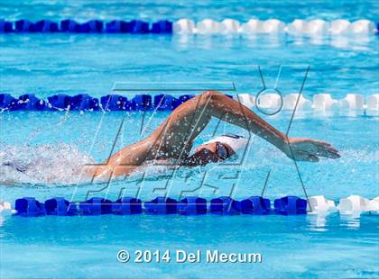 Thumbnail 1 in Hillsborough Western Conference Meet photogallery.