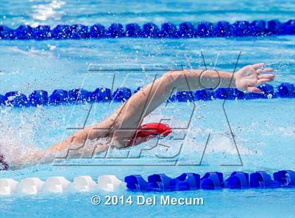 Thumbnail 2 in Hillsborough Western Conference Meet photogallery.