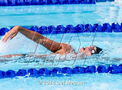 Thumbnail 1 in Hillsborough Western Conference Meet photogallery.