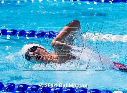 Thumbnail 2 in Hillsborough Western Conference Meet photogallery.