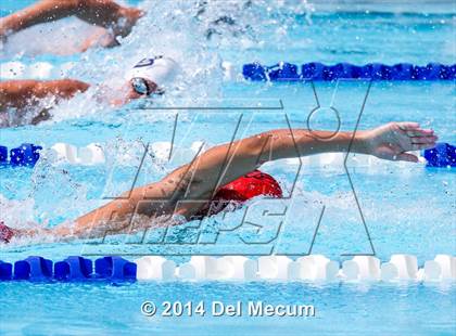 Thumbnail 3 in Hillsborough Western Conference Meet photogallery.