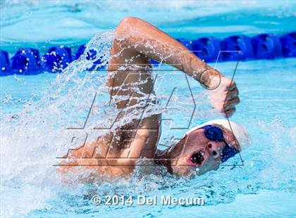 Thumbnail 3 in Hillsborough Western Conference Meet photogallery.