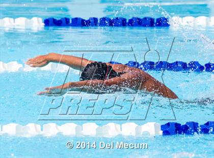 Thumbnail 3 in Hillsborough Western Conference Meet photogallery.