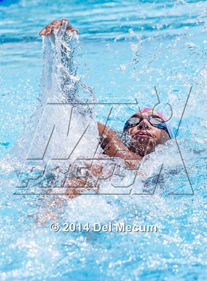 Thumbnail 3 in Hillsborough Western Conference Meet photogallery.