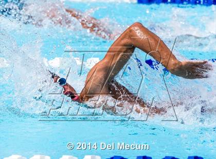 Thumbnail 3 in Hillsborough Western Conference Meet photogallery.