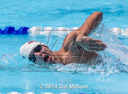 Thumbnail 3 in Hillsborough Western Conference Meet photogallery.