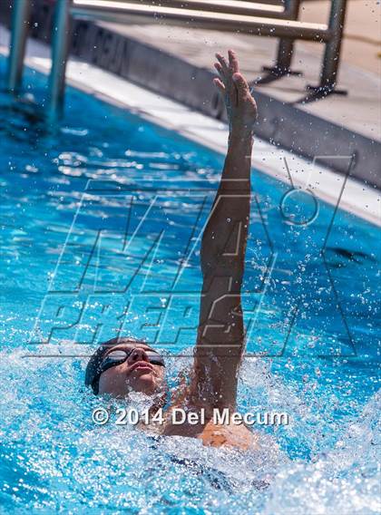 Thumbnail 2 in Hillsborough Western Conference Meet photogallery.