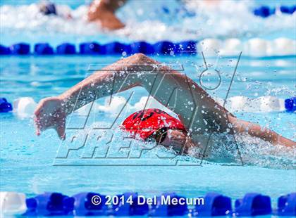 Thumbnail 1 in Hillsborough Western Conference Meet photogallery.
