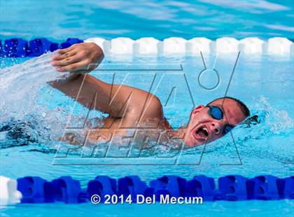Thumbnail 1 in Hillsborough Western Conference Meet photogallery.