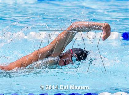 Thumbnail 2 in Hillsborough Western Conference Meet photogallery.